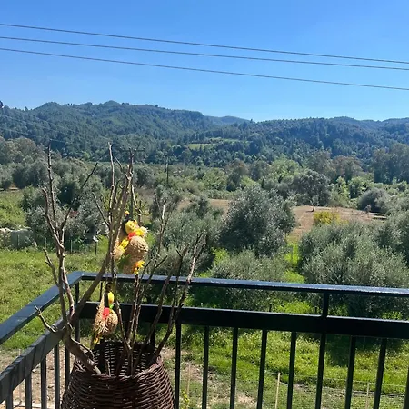 Olympia House Dionisos And Dimitra Iii