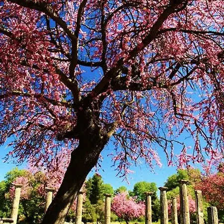 Olympia House Dionisos And Dimitra Iii * Linaria (Ilia)